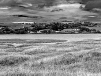 Co. Cork